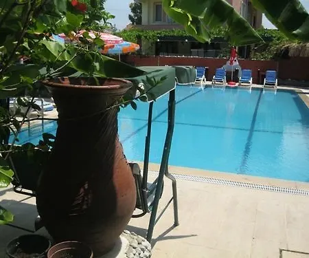 Alis Fethiye